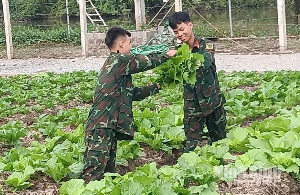 Chiến sĩ trong đơn vị phấn khởi thu hoạch thành quả do chính tay mình trồng và chăm sóc.