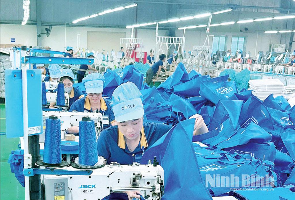 Kim ngạch xuất khẩu của Công ty Cổ phần Casla (phường Châu Sơn) đạt mức tăng trưởng dương qua các năm.