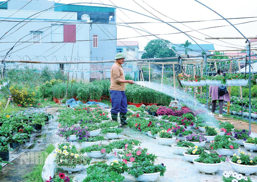 Các làng hoa rộn ràng vào Tết