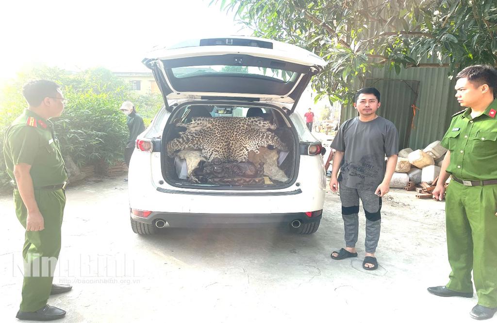 Phòng Cảnh sát kinh tế Công an tỉnh Ninh Bình phát hiện, xử lý vụ buôn bán động vật nguy cấp, quý hiếm.